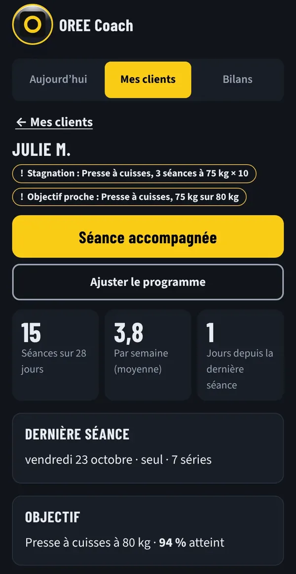Fiche de Julie&nbsp;: alertes, régularité, dernière séance